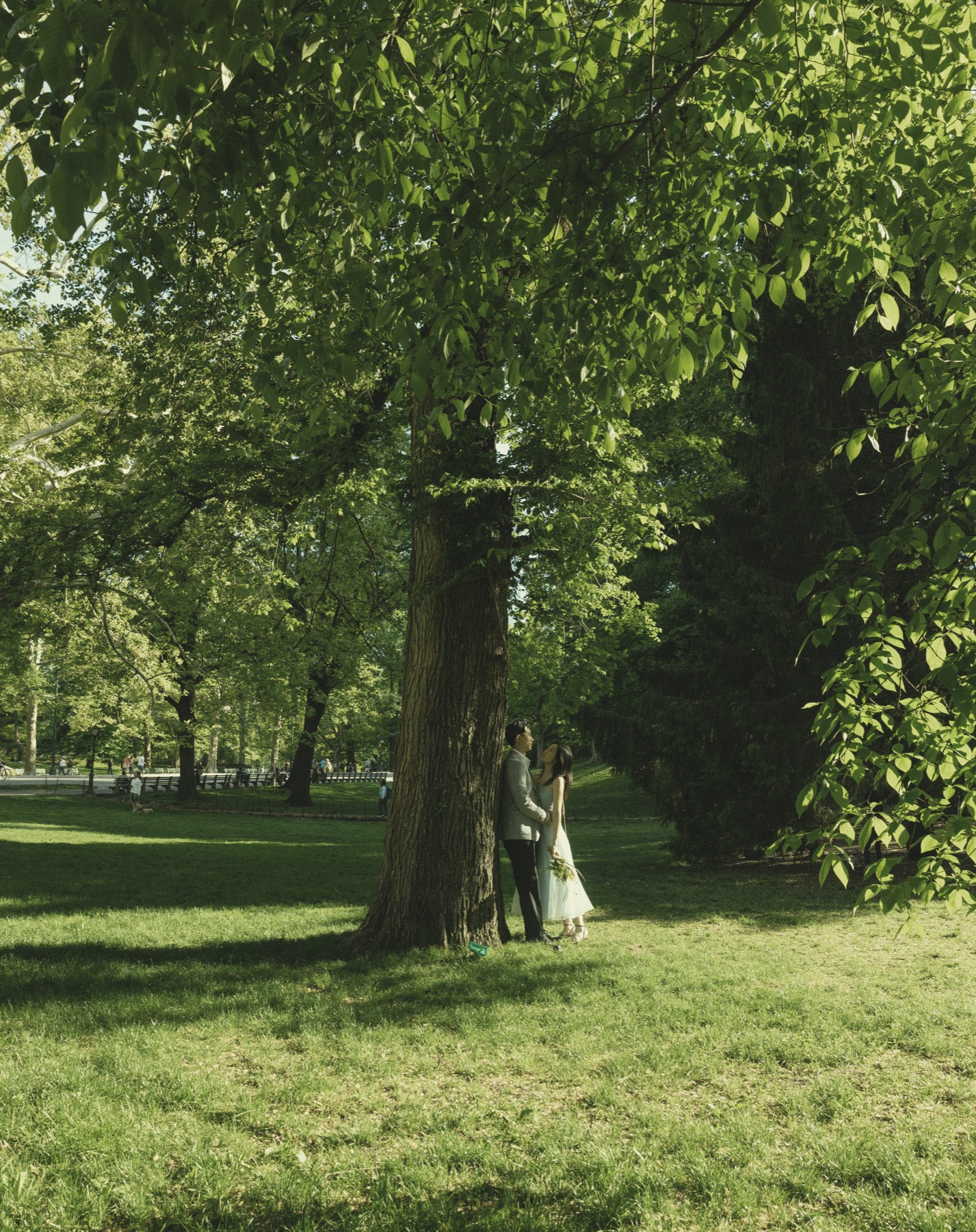 Wedding photo 8